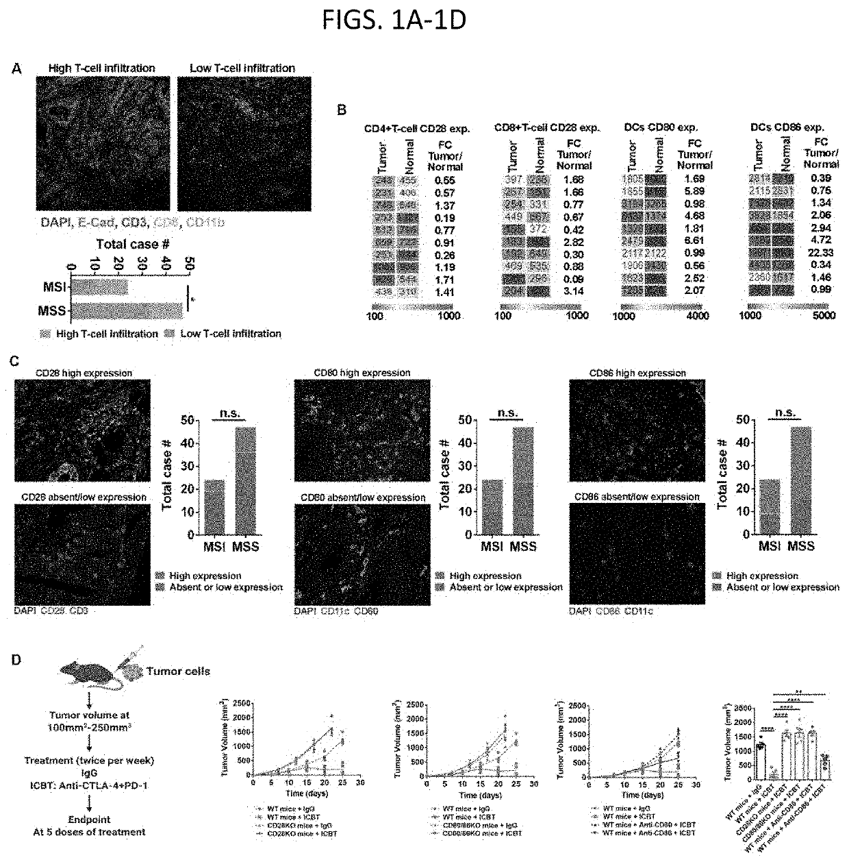 Tumor cell-derived exosomes and method of treating colorectal cancer