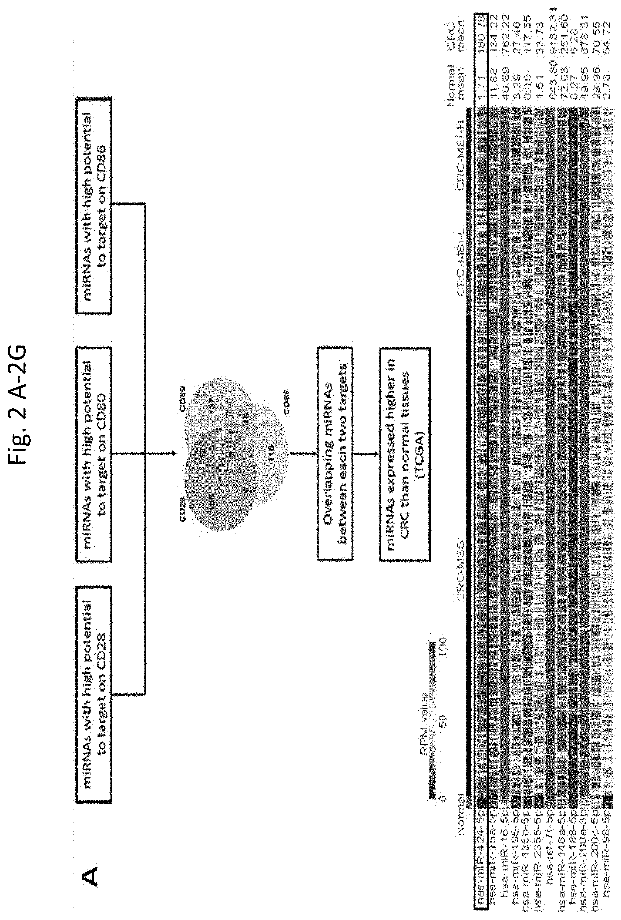 Tumor cell-derived exosomes and method of treating colorectal cancer