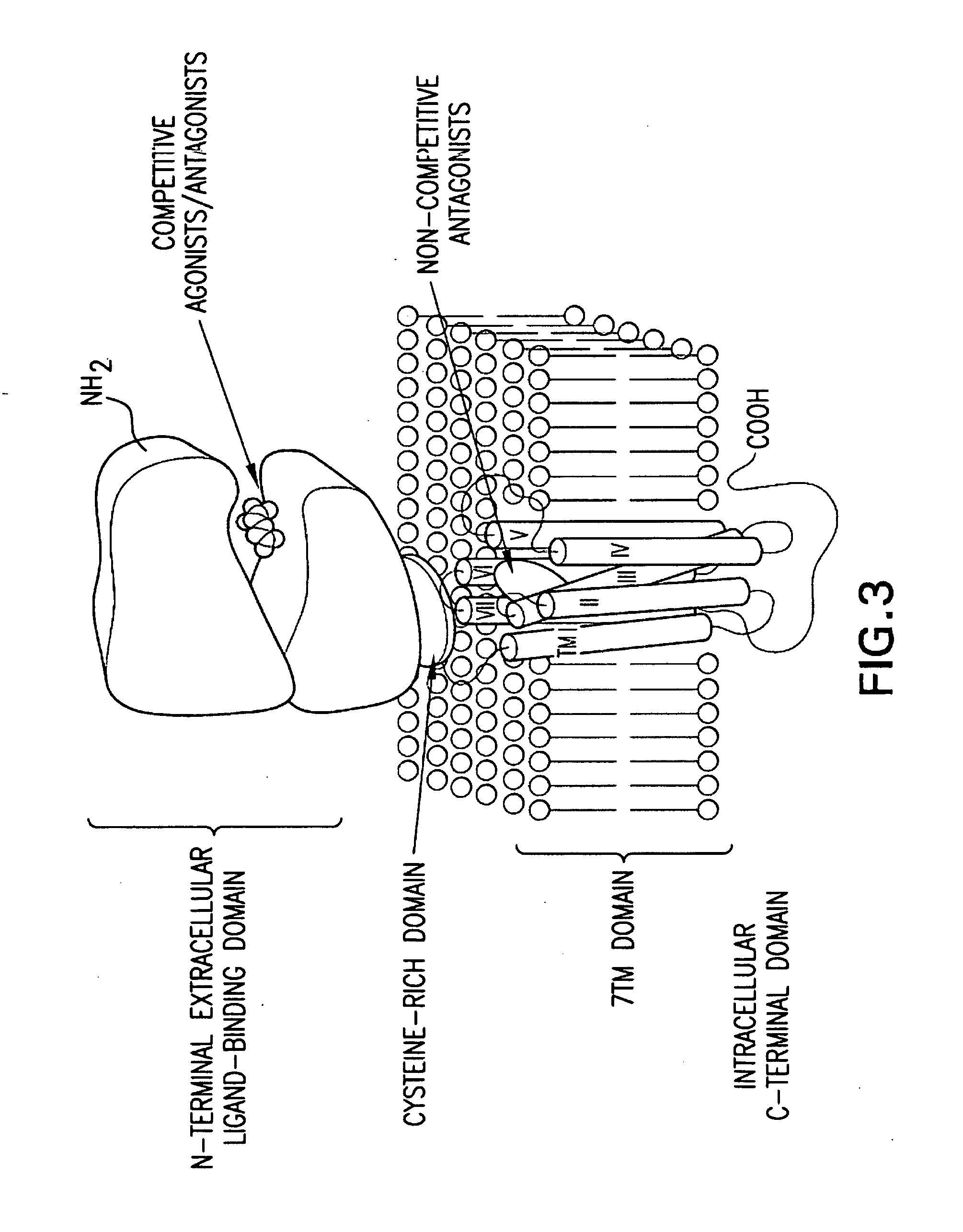 BENZAMIDE mGluR5 POSITIVE ALLOSTERIC MODULATORS AND METHODS OF MAKING AND USING SAME