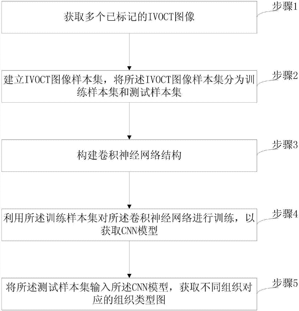 Tissue classification method and device based on cardiovascular IVOCT images