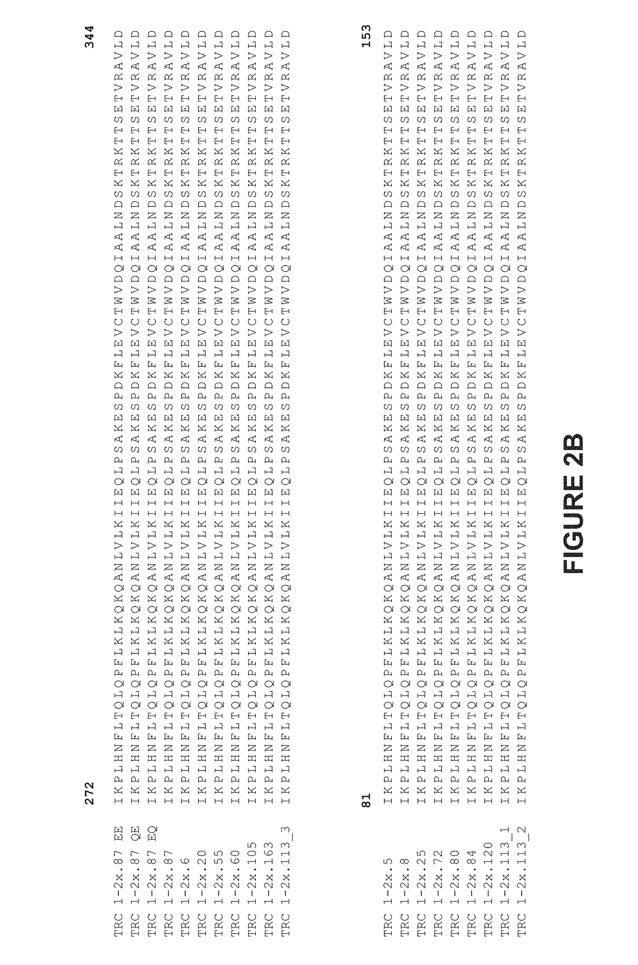 Genetically-modified cells comprising a modified human T cell receptor alpha constant region gene