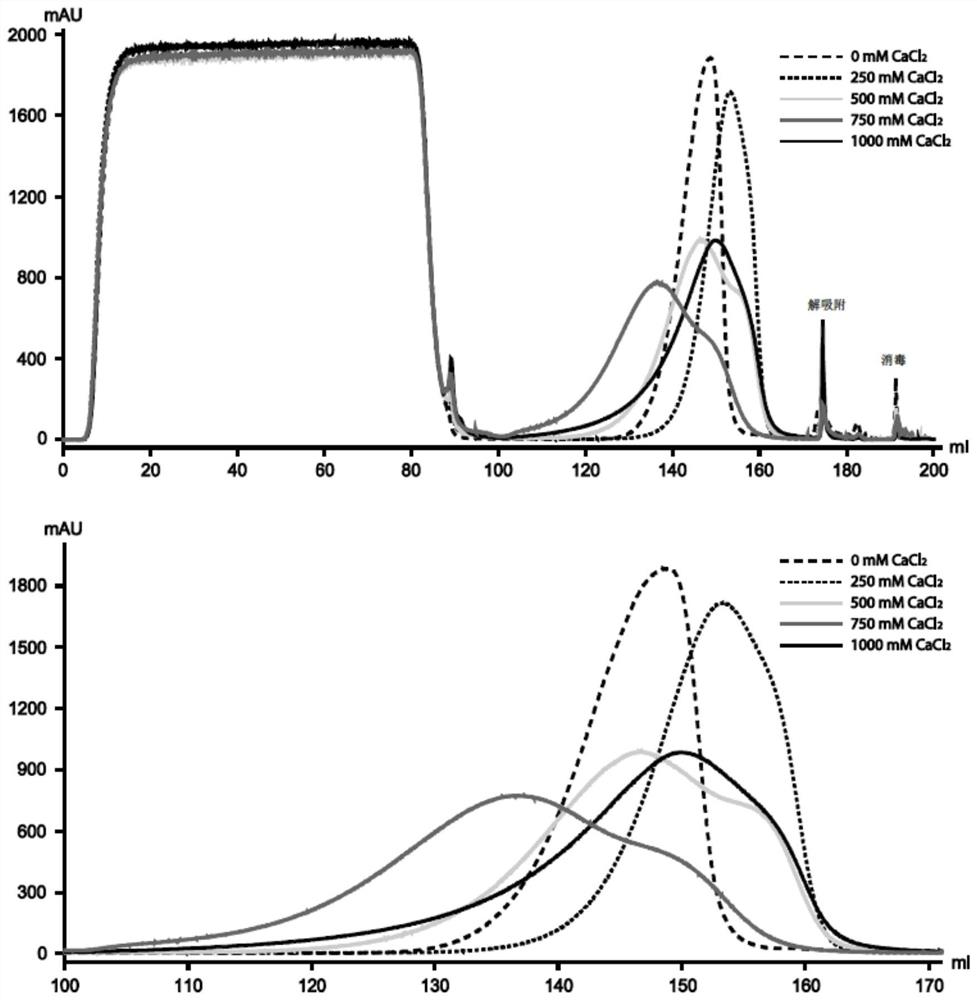 A method for improving aggregate removal by protein a chromatography