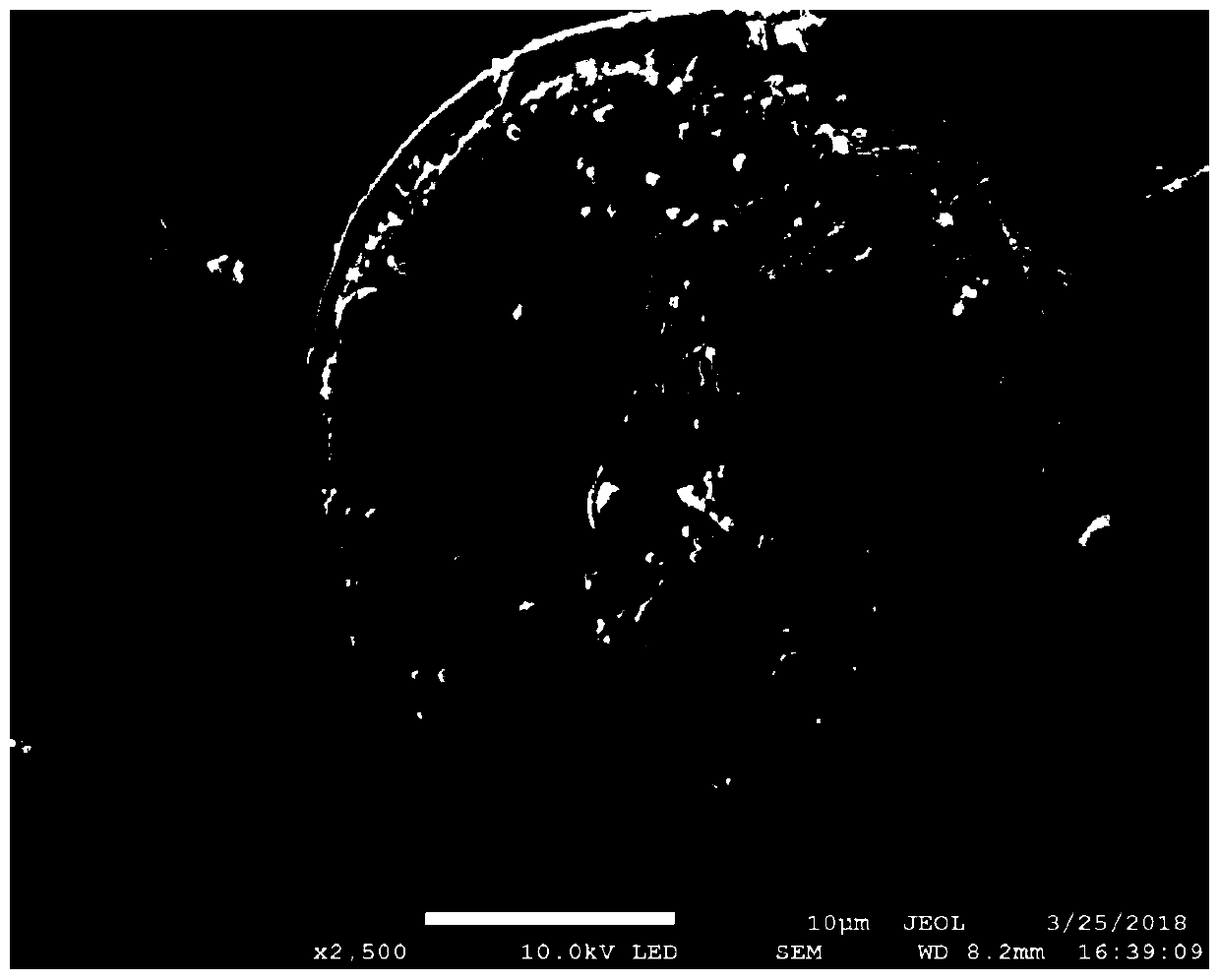 Photocatalyst and application thereof to efficient photocatalysis degradation on different gas phase organic contaminants