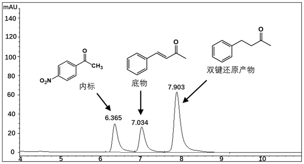 Perakine reductase mutant and application thereof