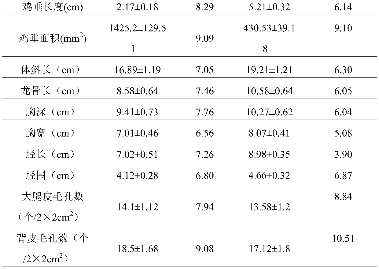 Method for cultivating medium-speed high-quality spotted-brown chickens suitable for slaughtering and living body marketing