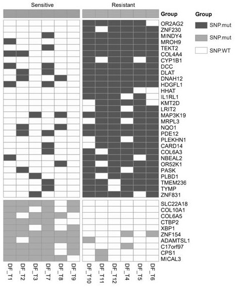 Use of tmem236 gene in the preparation of neoadjuvant radiotherapy resistance markers for diagnosing rectal cancer