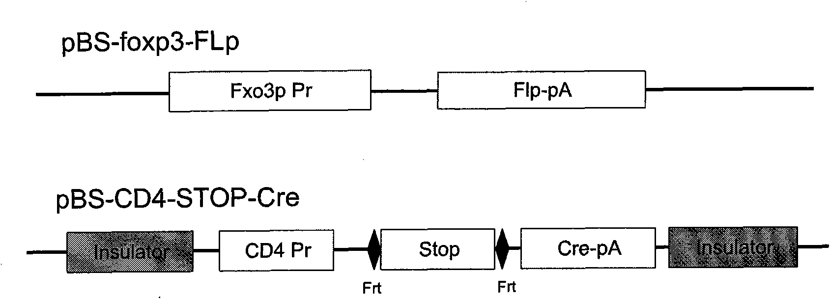 Embedded tissue-specific expressed Cre tool mice built by utilizing Flp-Frt system