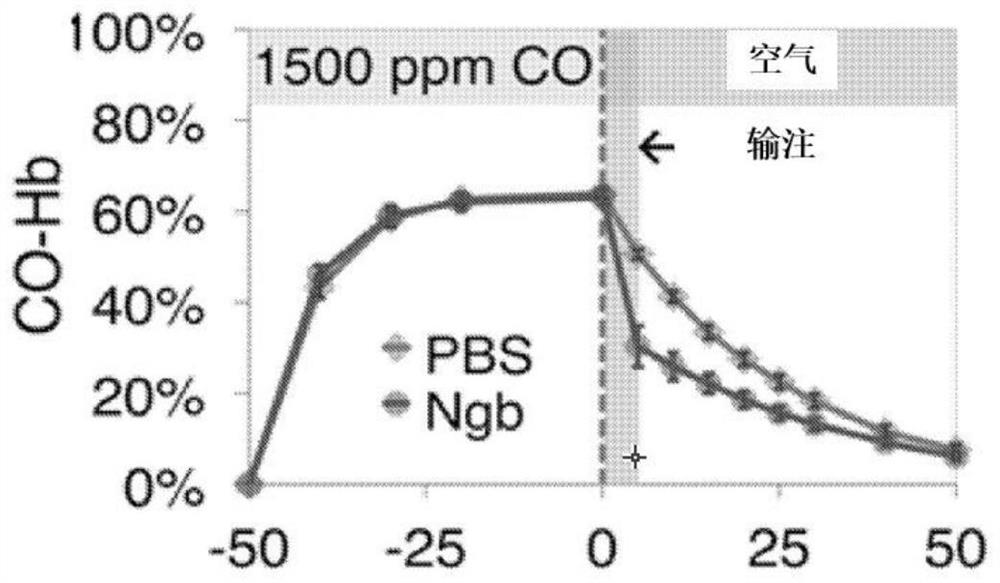 Modified hemoglobin molecules and uses thereof