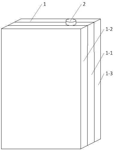 A detection kit and detection method for pathogenic nucleic acid under airtight conditions