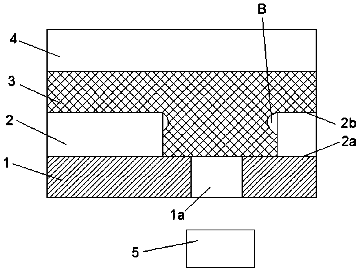 Display device and polarizer