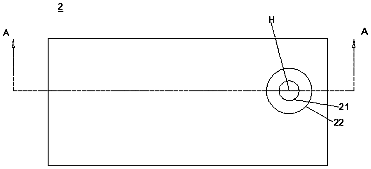 Display device and polarizer