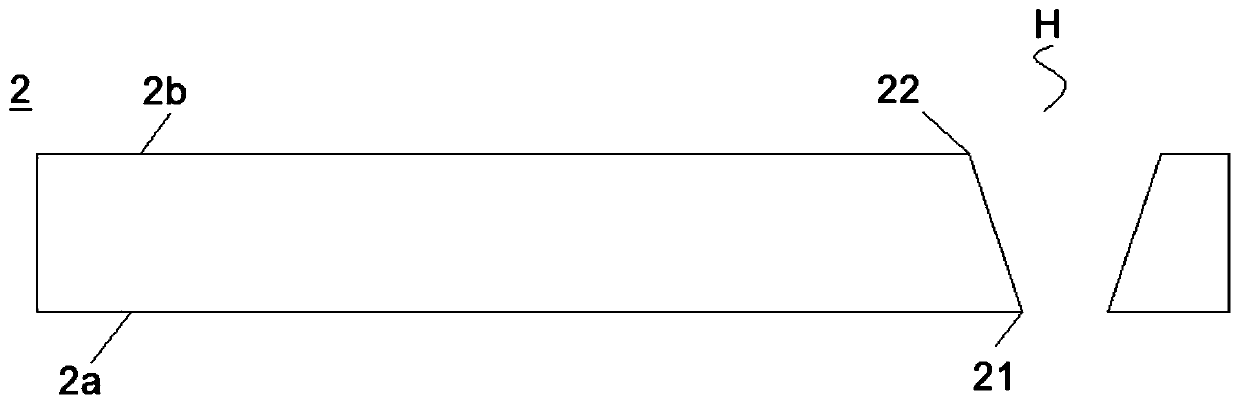 Display device and polarizer