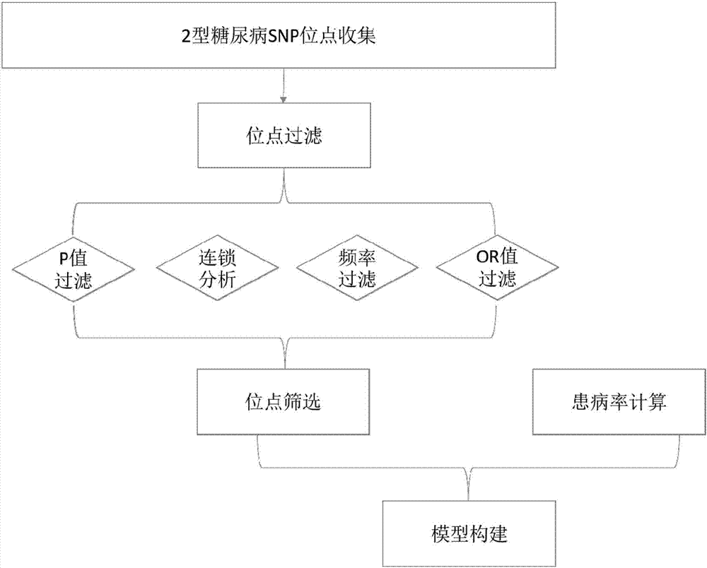 Construction method and construction system for type 2 diabetes mellitus risk assessment model