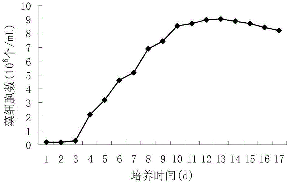 Culture medium for microcystis aeruginosa and application of culture medium