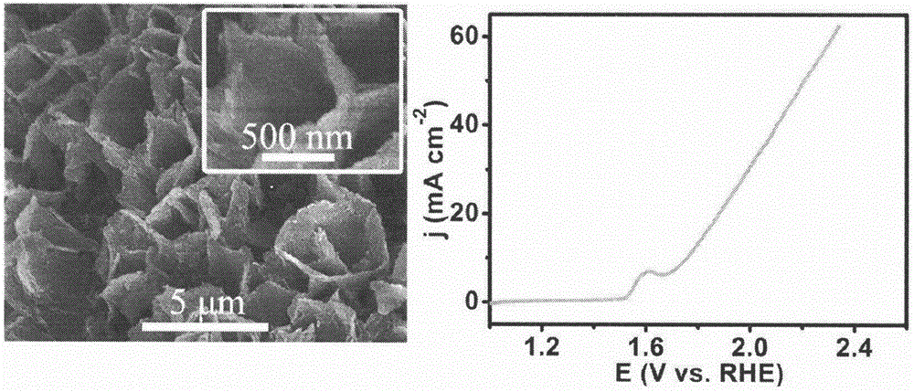 Neutral and nearly-neutral water oxidation catalytic electrodes in transition metal salt nano arrays