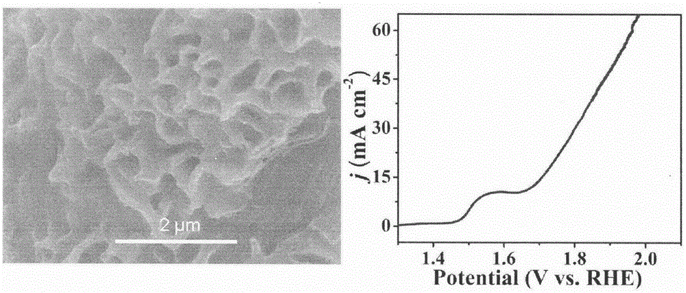 Neutral and nearly-neutral water oxidation catalytic electrodes in transition metal salt nano arrays