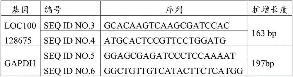 LOC100128675 serving as molecular marker for detecting prostate cancer and application of molecular marker to diagnostic kit