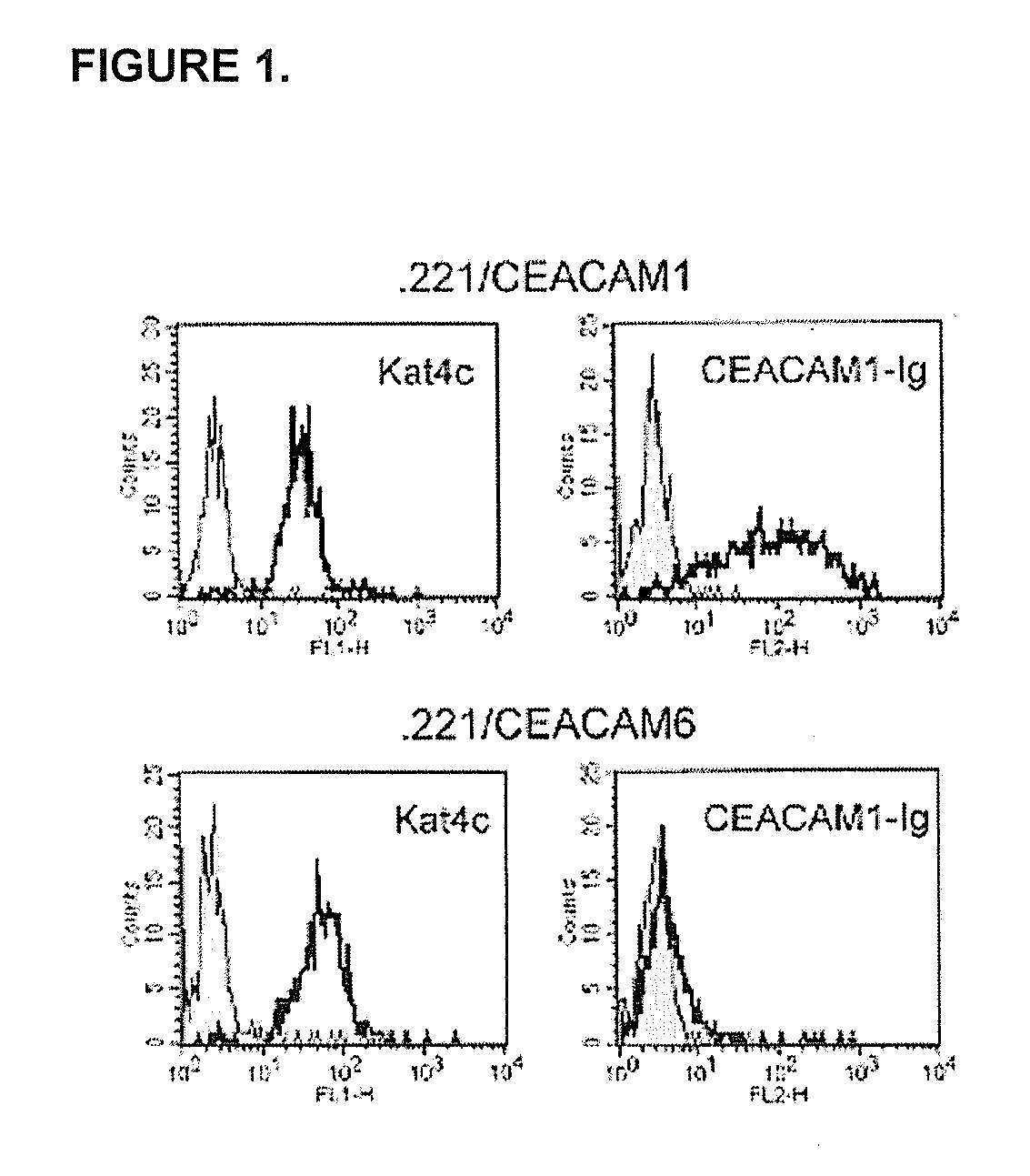 Modulation of Immunity and Ceacam1 Activity