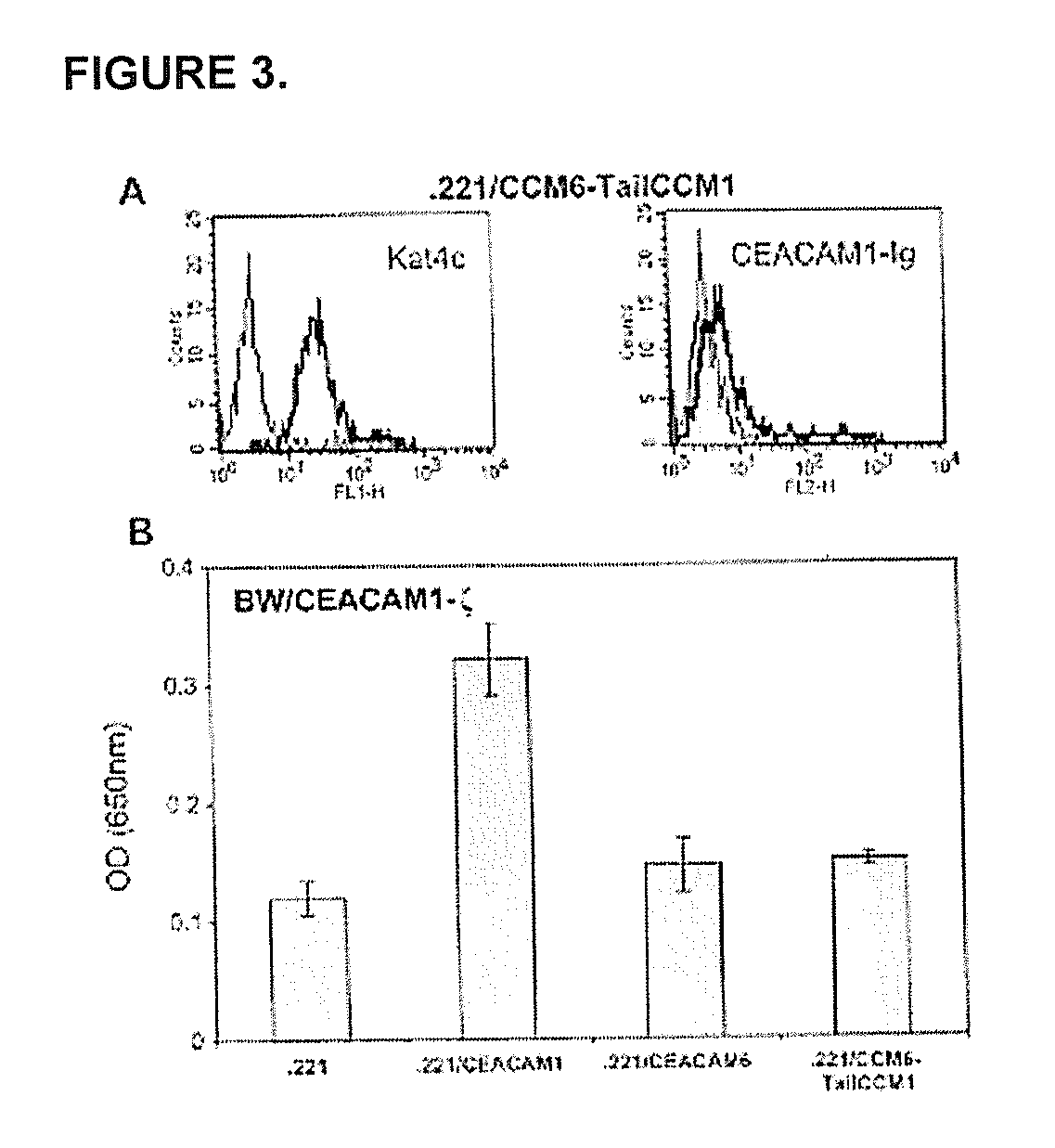 Modulation of Immunity and Ceacam1 Activity