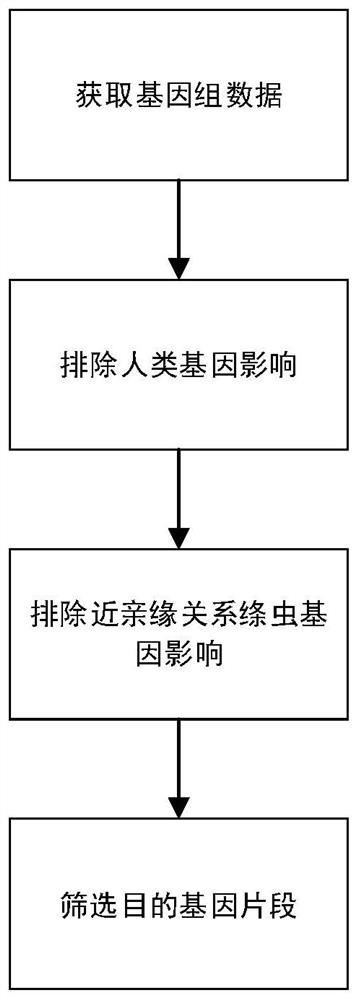 Liver echinococcus gene segment screening method, amplification primer and kit