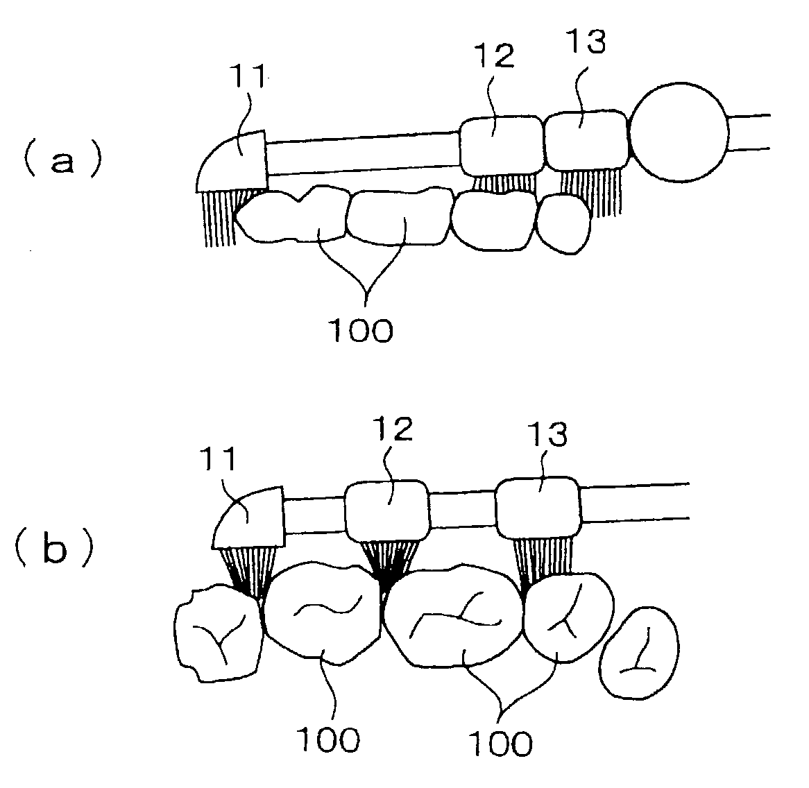 Toothbrush and head thereof