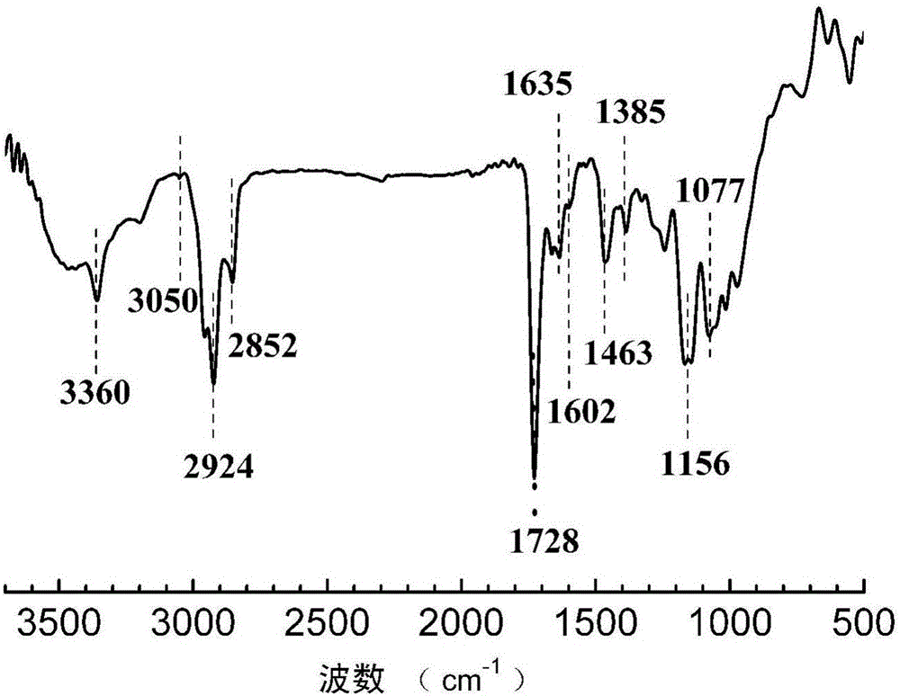 Preparation method of water-borne polyacrylate for emitting room temperature phosphorescence