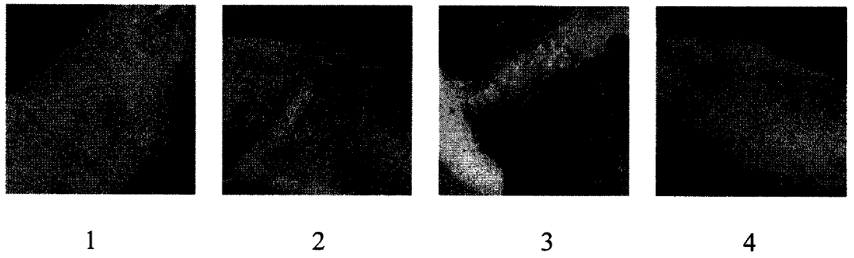 Medicinal composition for treating atherosclerosis and application of medicinal composition