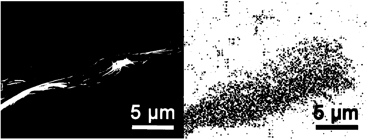 Self-supporting sodium/potassium ion battery material, preparation method thereof and application of material