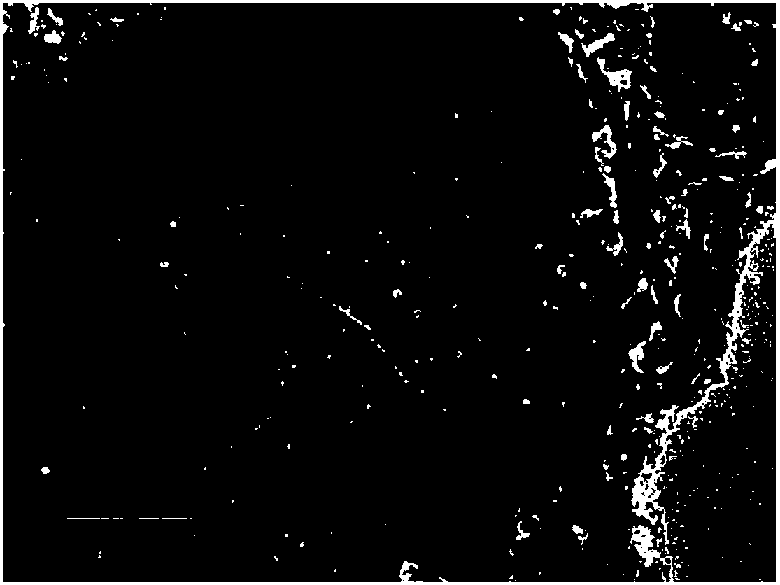 Self-supporting sodium/potassium ion battery material, preparation method thereof and application of material