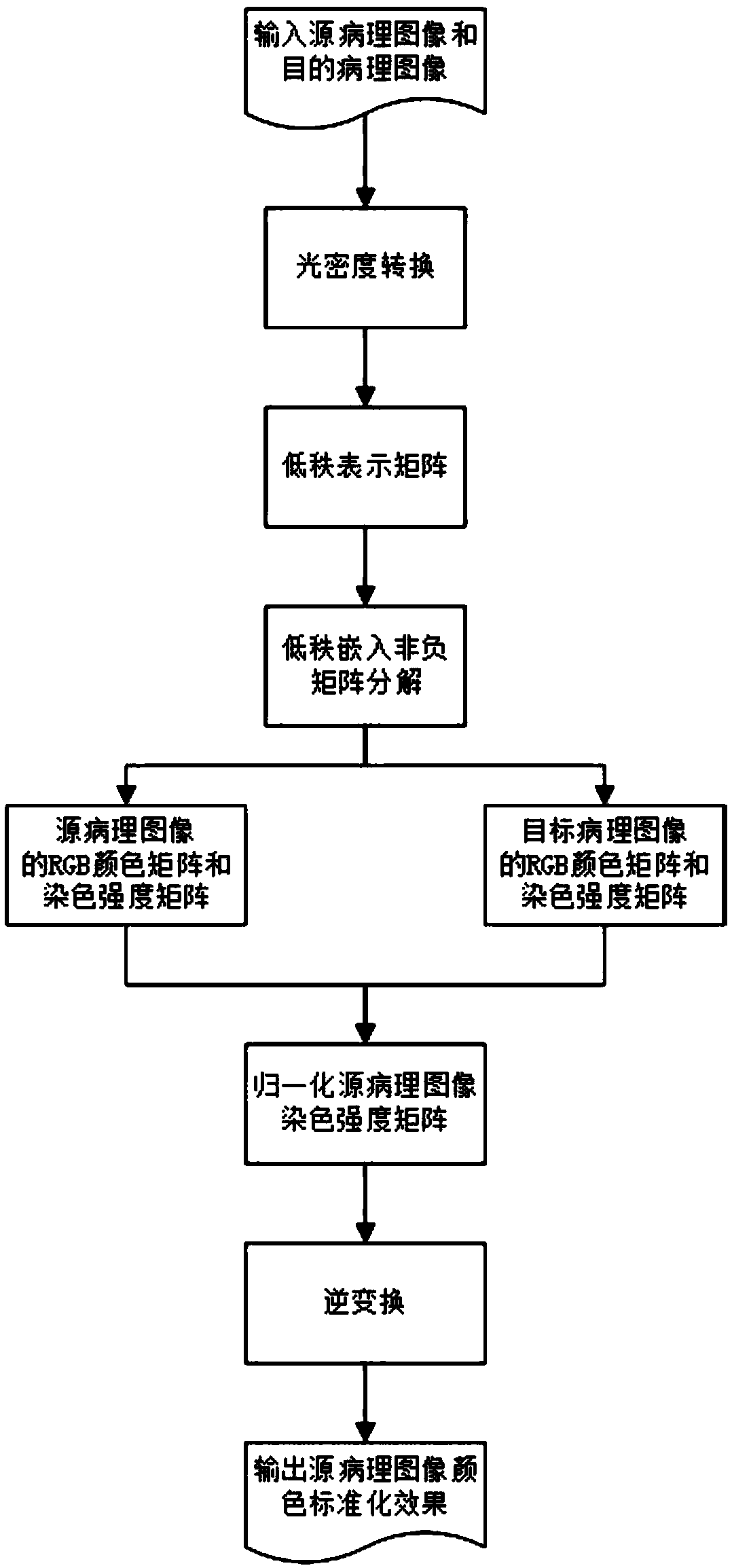 Method for color standardization of pathological image based on low rank embedded non-negative matrix decomposition