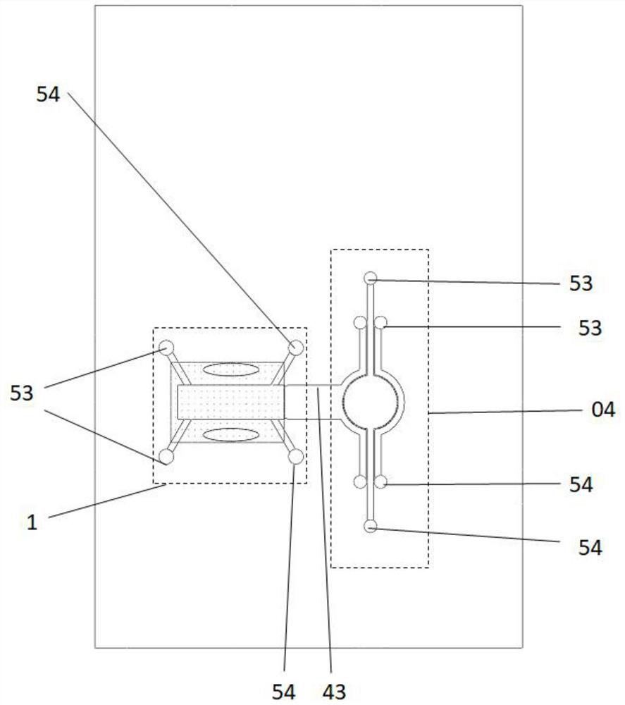 Microfluidic chip and model construction method for bionic lung cancer brain metastasis model