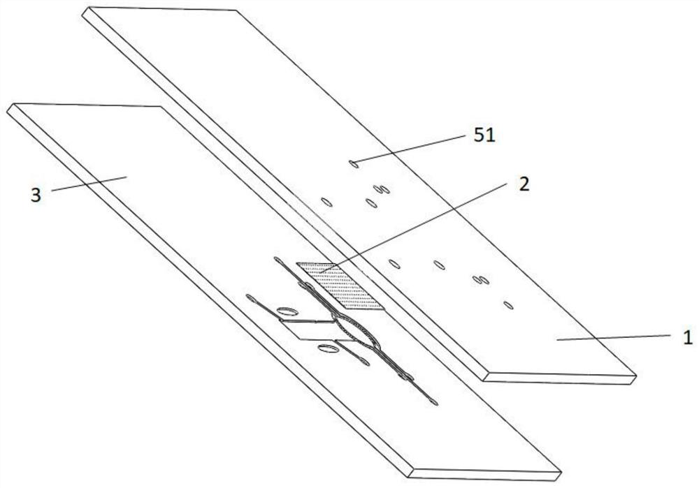 Microfluidic chip and model construction method for bionic lung cancer brain metastasis model