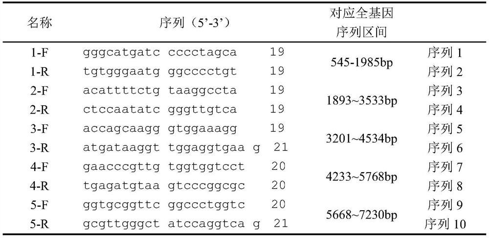 Porcine seneca valley virus vaccine and preparation method thereof