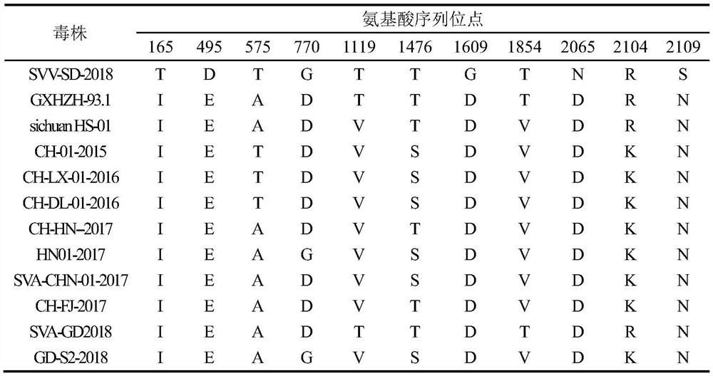 Porcine seneca valley virus vaccine and preparation method thereof