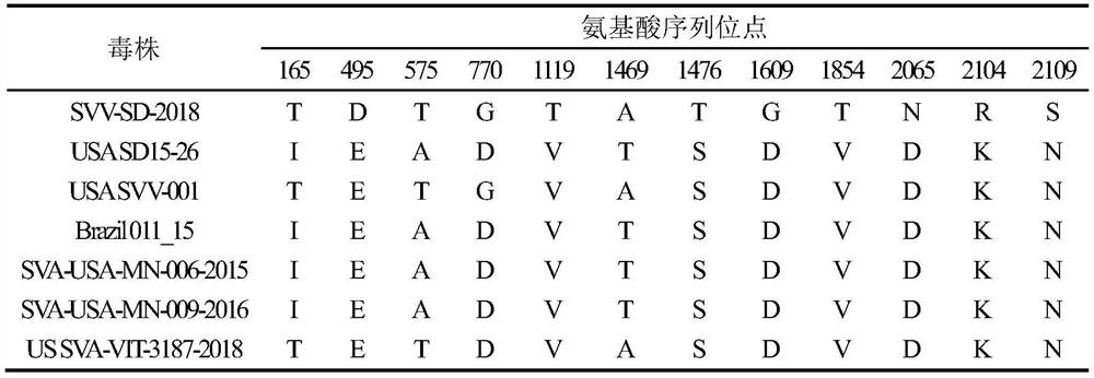 Porcine seneca valley virus vaccine and preparation method thereof