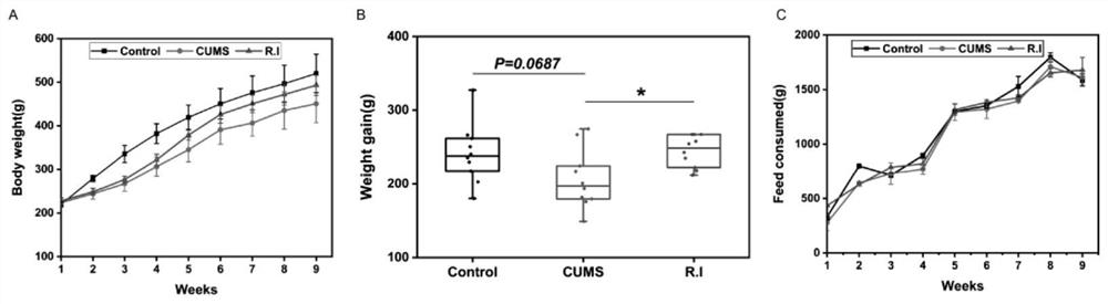 Application of roseburia in the preparation of drugs for preventing and treating anxiety and depression