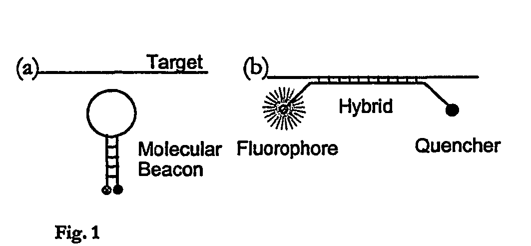 Biosensors and methods for their use