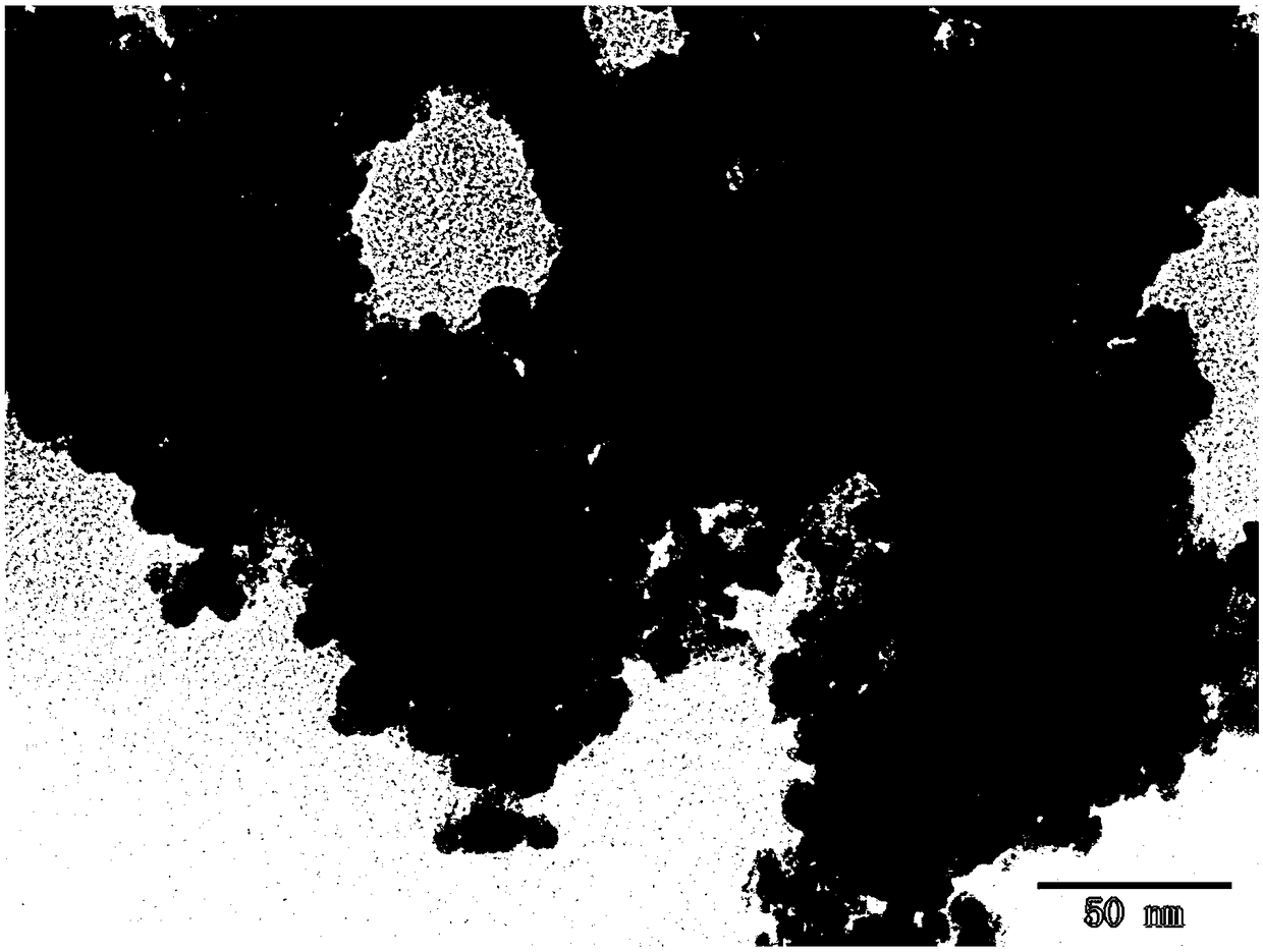 Nucleic acid aptamer-molecular imprinting synergistic recognition magnetic microspheres and preparation method and application thereof