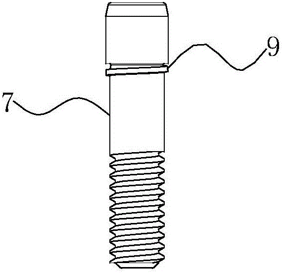 Implant tooth with high biocompatibility and stability