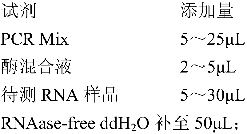 A real-time fluorescent quantitative RT-PCR detection primer set, probe set, kit and method for hbv pgRNA