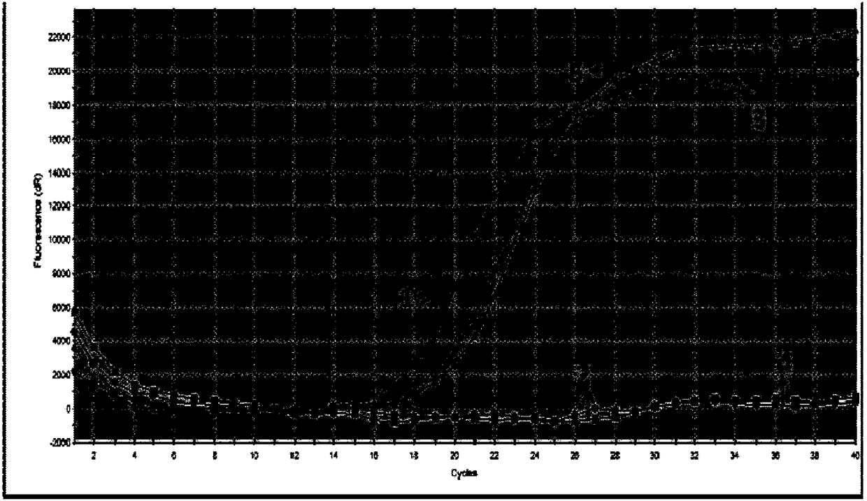 A real-time fluorescent quantitative RT-PCR detection primer set, probe set, kit and method for hbv pgRNA