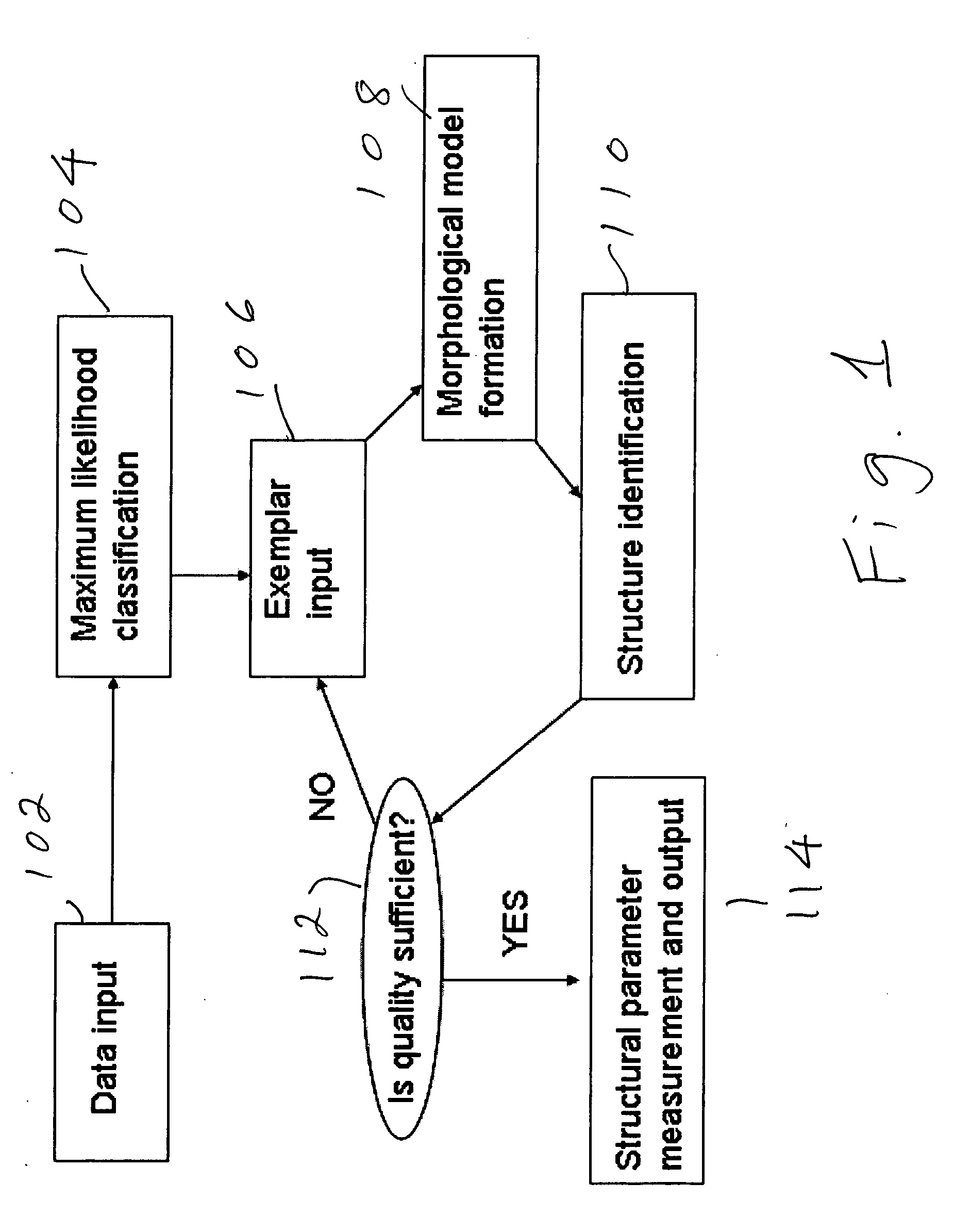 Semi-automated measurement of anatomical structures using statistical and morphological priors