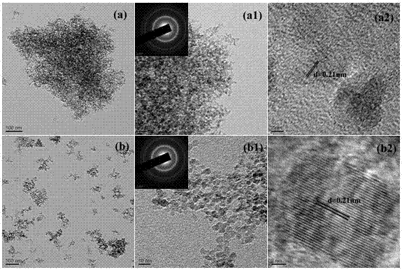 A nanocarbon crystal