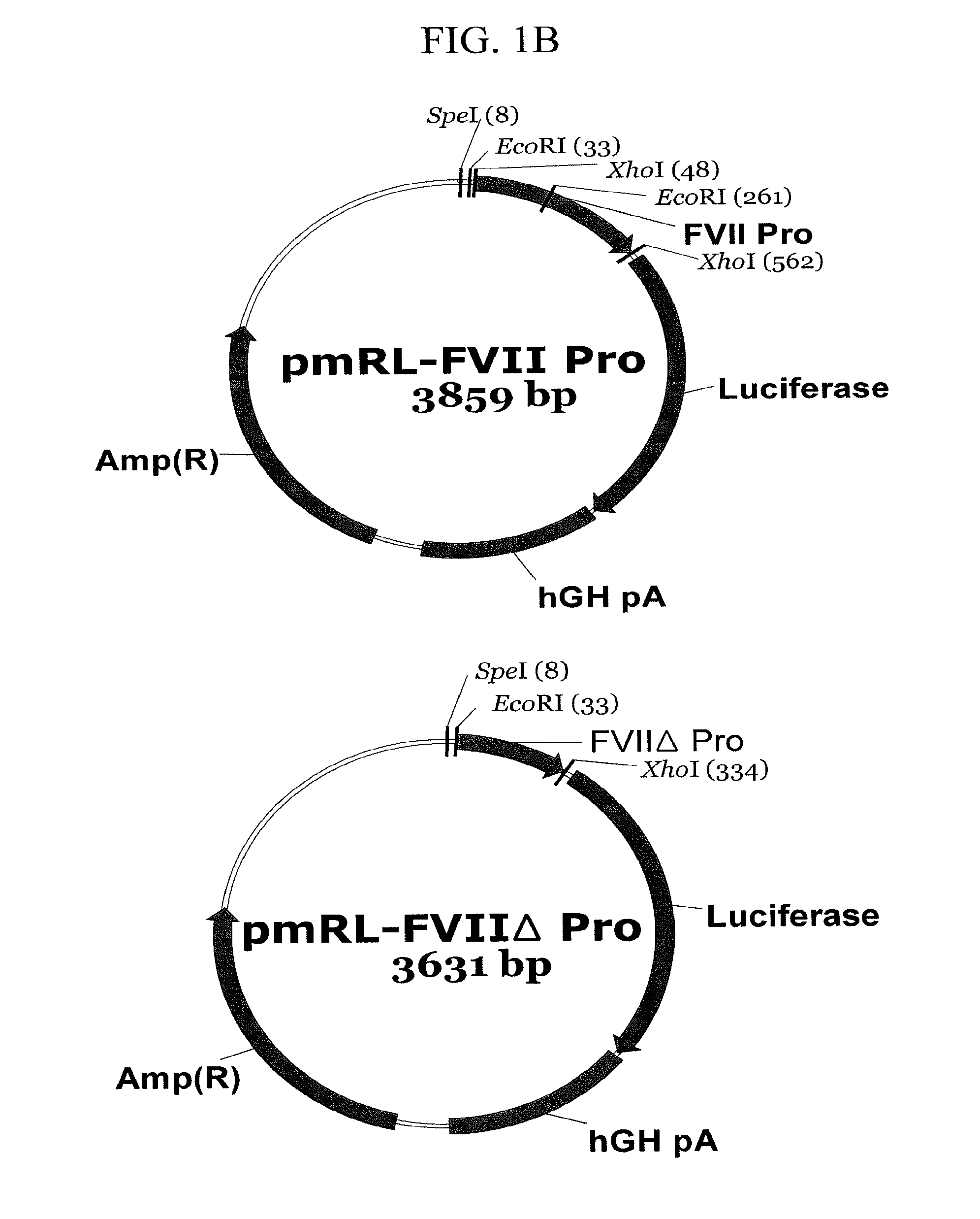 Expression vector suitable for expression of a coding sequence for gene therapy