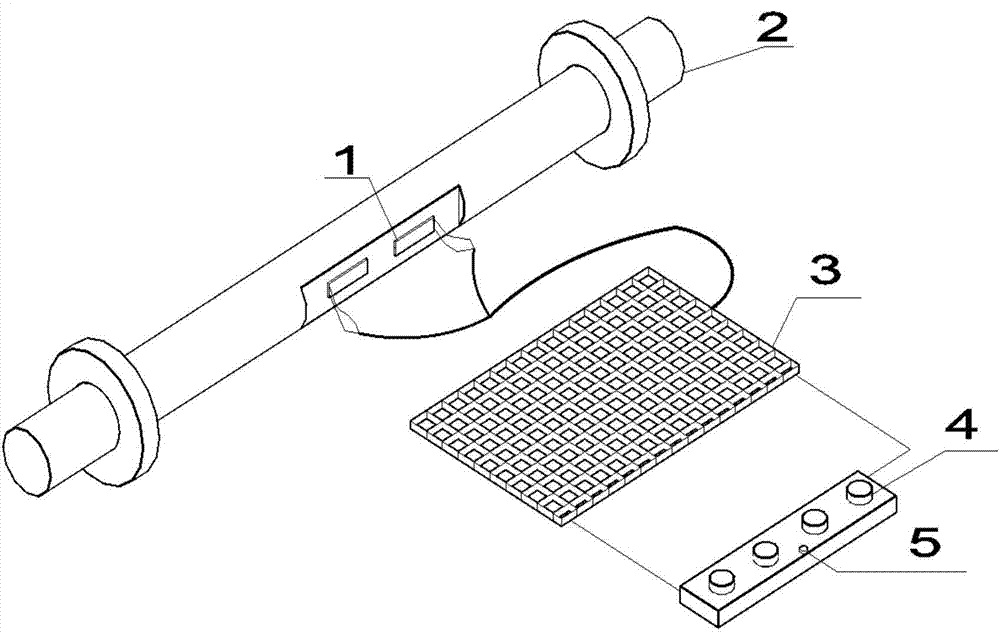 Field visualization type strain sensor