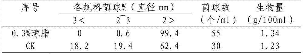 Method for preparing clitocybe maxima liquid strains by using yellow serofluid as main raw material