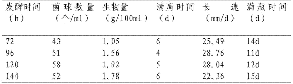 Method for preparing clitocybe maxima liquid strains by using yellow serofluid as main raw material