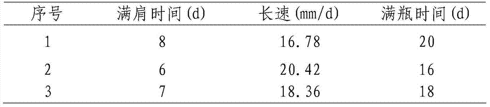 Method for preparing clitocybe maxima liquid strains by using yellow serofluid as main raw material