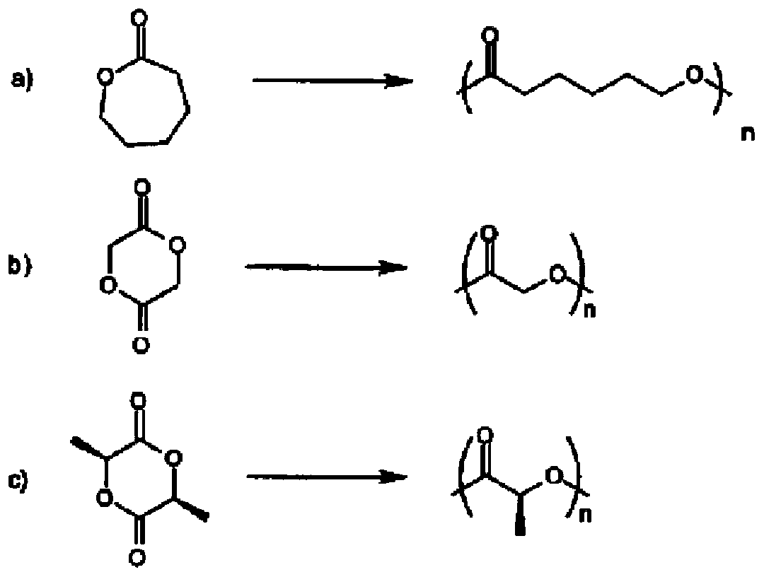 PhSGBL polymer, and preparation method and application thereof