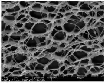 A kind of sodium polyacrylate/nanocellulose crystal composite superabsorbent resin and its preparation method